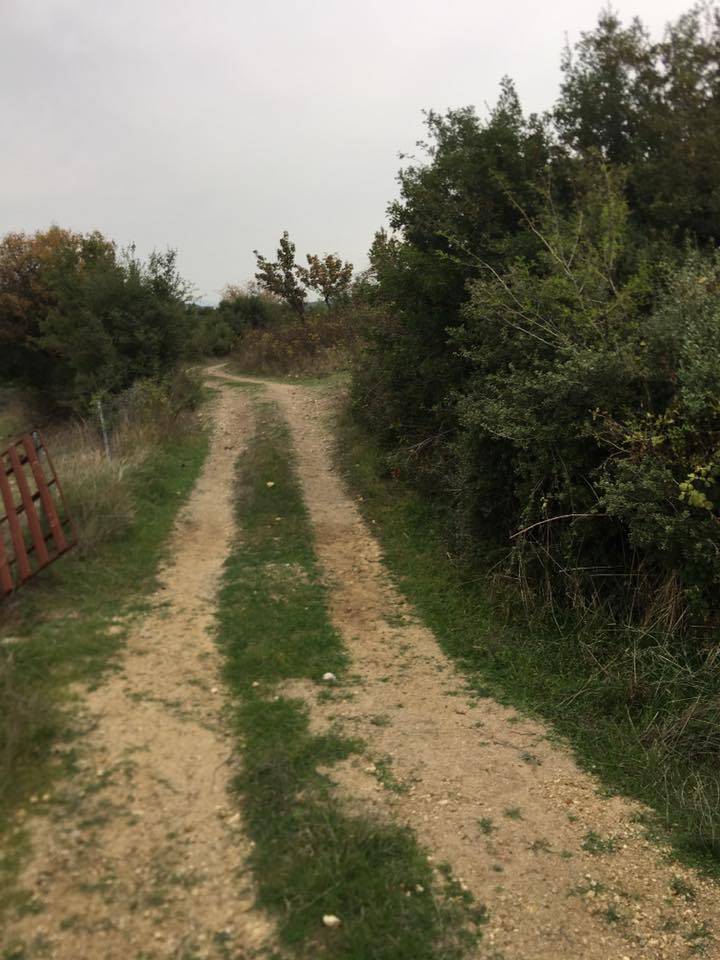 Aliağa Yenişakran Köyü Resimleri 7