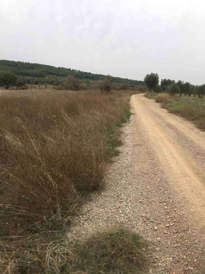 Aliağa Yenişakran Köyü Resimleri 9