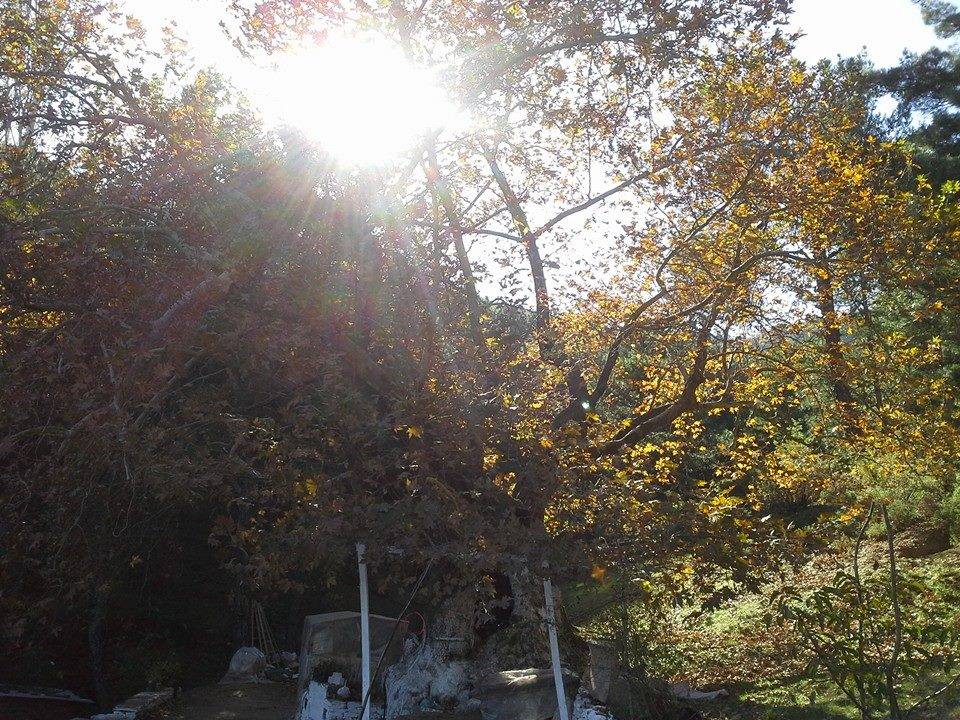 Bayındır Alankıyı Köyü Resimleri 1