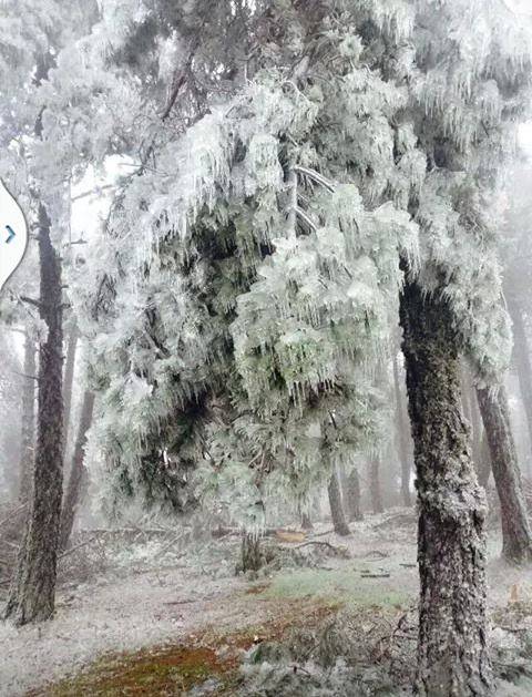 Bayındır Alankıyı Köyü Resimleri 3