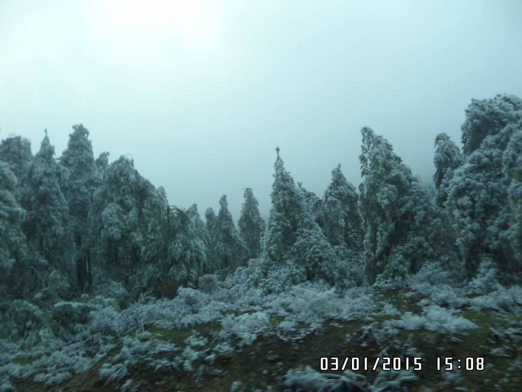 Bayındır Alankıyı Köyü Resimleri 5