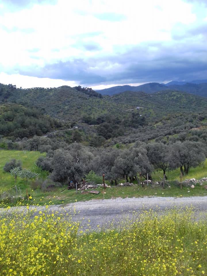 Bayındır Alanköy Köyü Resimleri 3