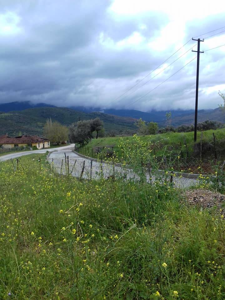 Bayındır Alanköy Köyü Resimleri 4