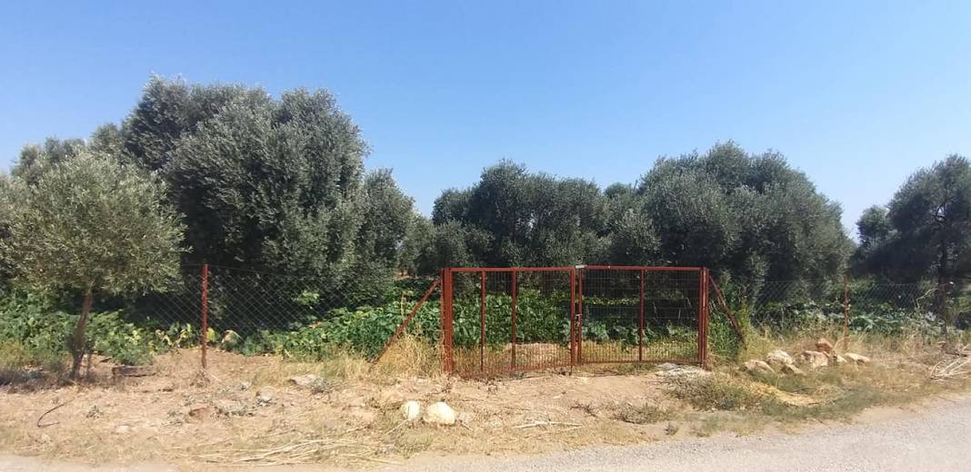 Bayındır Arıkbaşı Köyü Resimleri 4