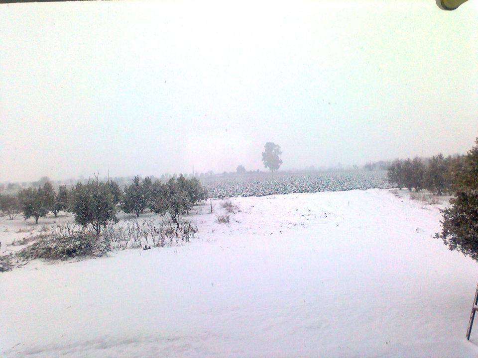 Bayındır Balcılar Köyü Resimleri 1