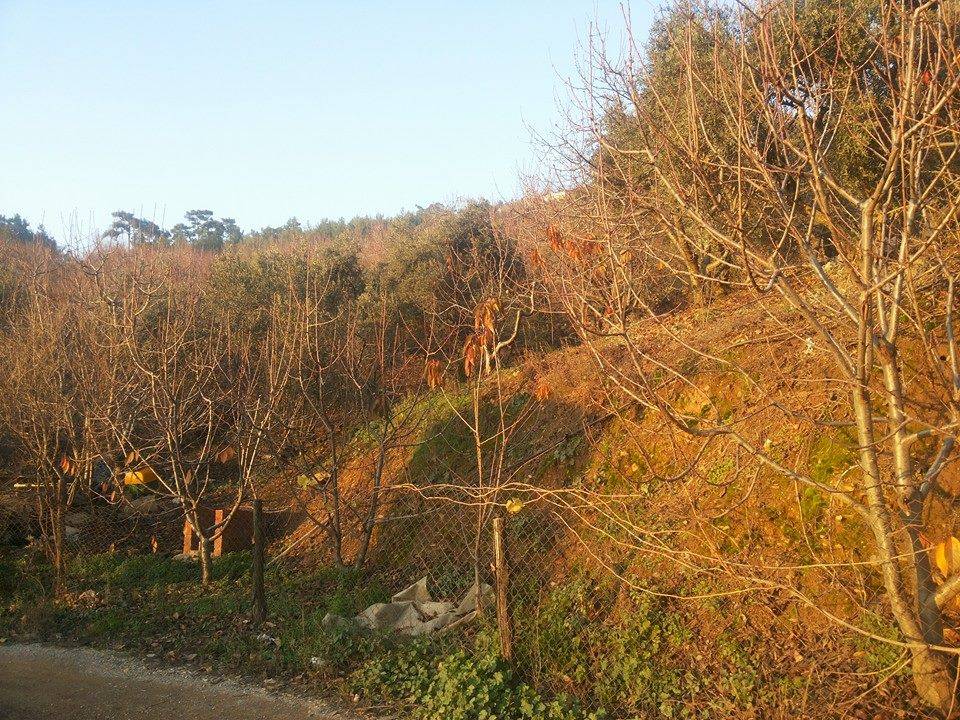 Bayındır Balcılar Köyü Resimleri 2