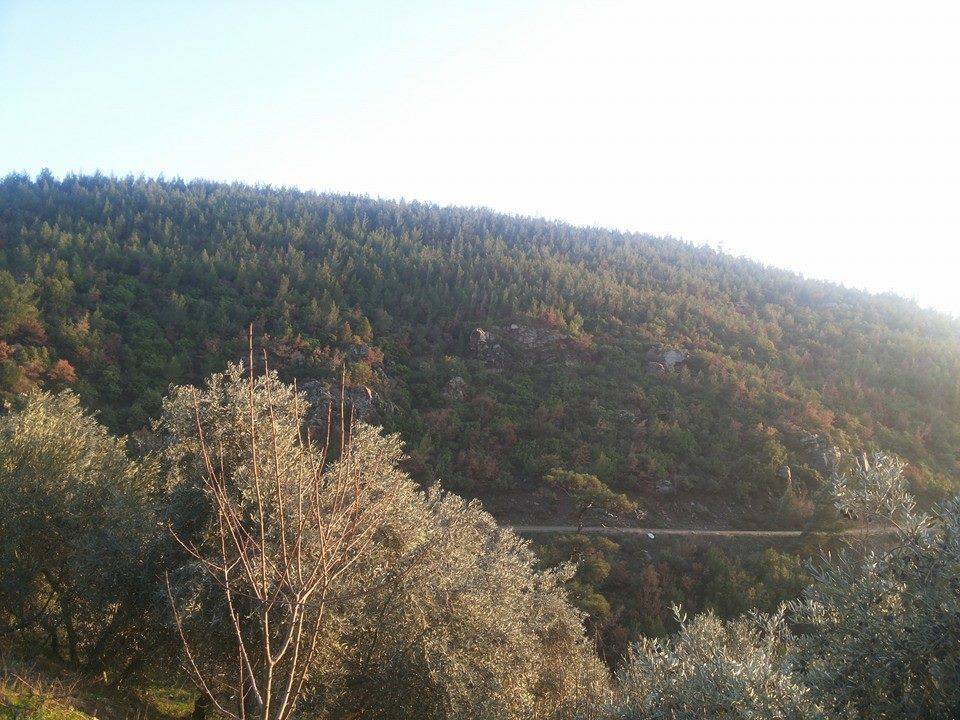 Bayındır Balcılar Köyü Resimleri 3