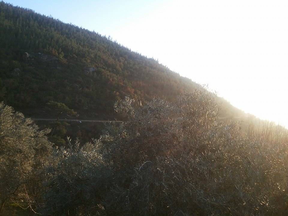 Bayındır Balcılar Köyü Resimleri 4