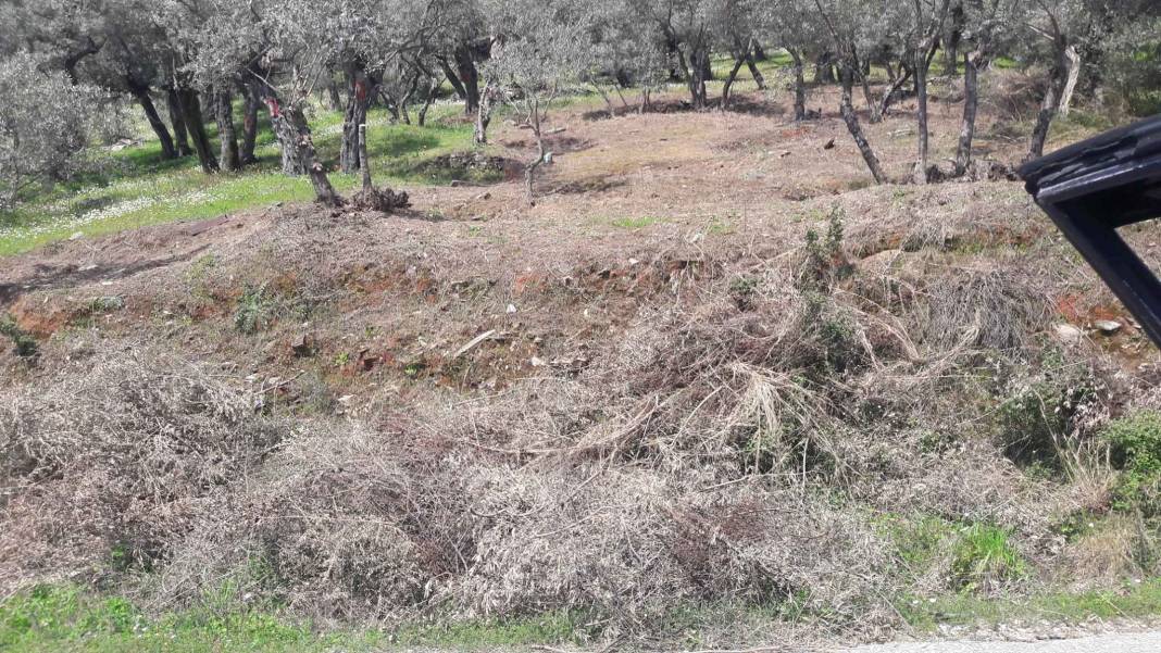 Bayındır Balcılar Köyü Resimleri 8