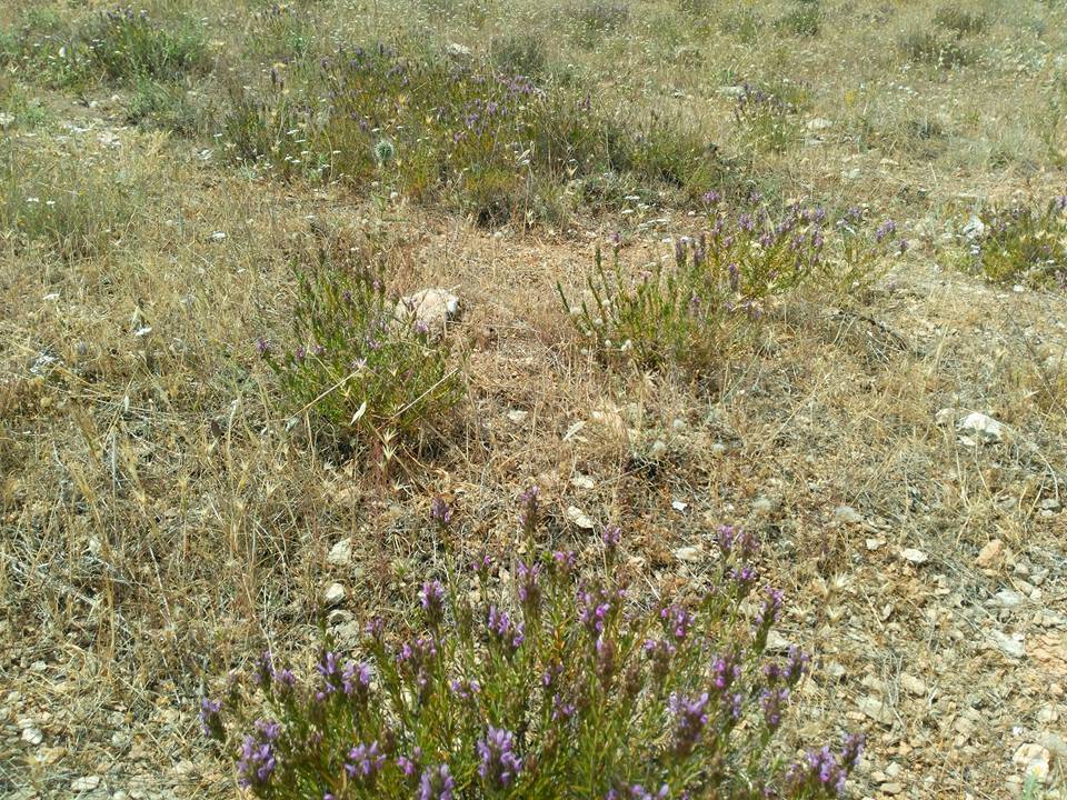 Şahinbey Akbulut Köyü Resimleri 2