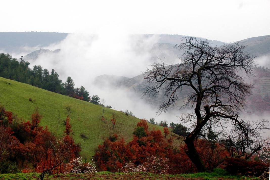 Büyükorhan Karalar Köyü Resimleri 1