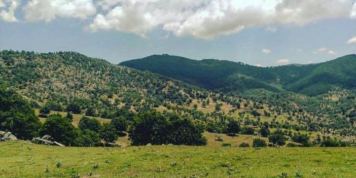 Simav Aşağıdolaylar Köyü Resimleri