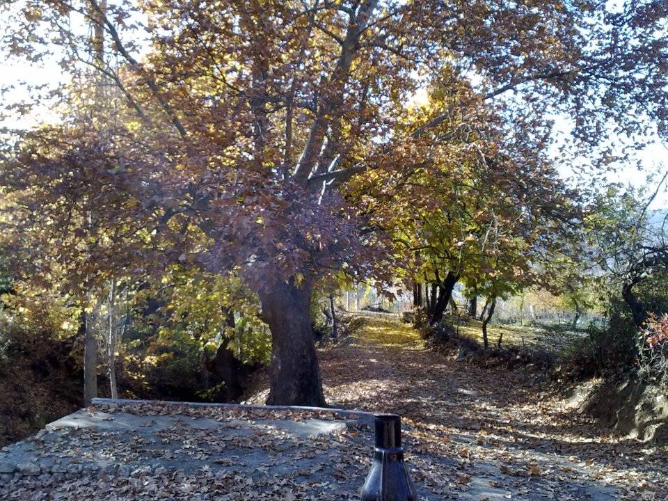 Simav Bademli Köyü Resimleri 6