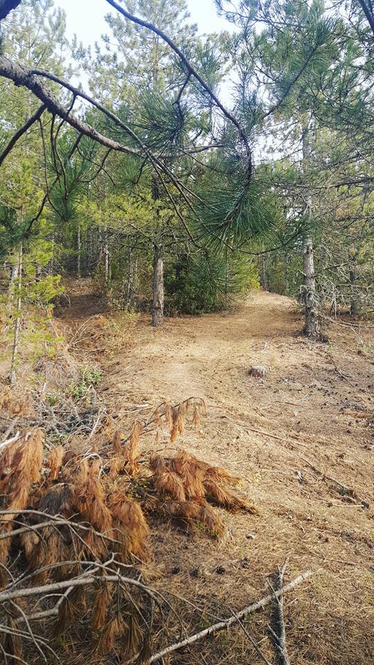 Simav Başkonak Köyü Resimleri 3