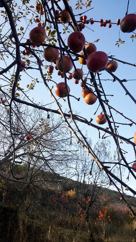 Simav Başkonak Köyü Resimleri 4