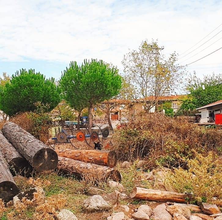 Simav Beciler Köyü Resimleri 3