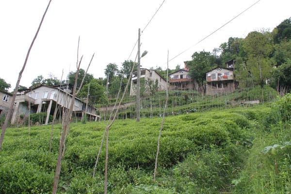 İkizdere Cevizlik Köyü Resimleri 11