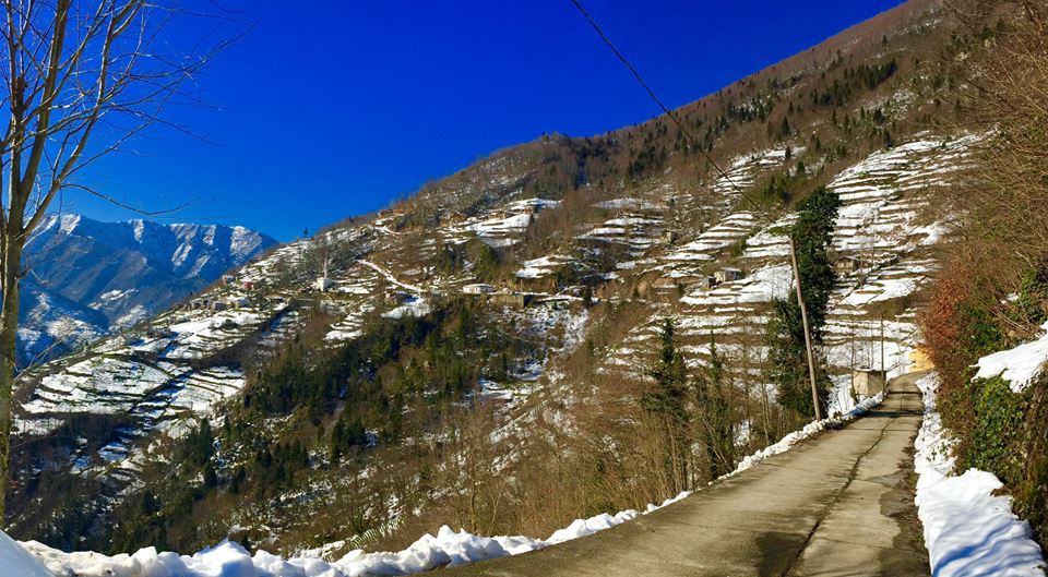 İkizdere Cevizlik Köyü Resimleri 2