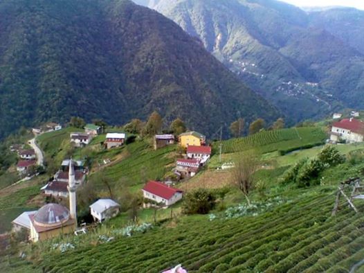 İkizdere Cevizlik Köyü Resimleri 3