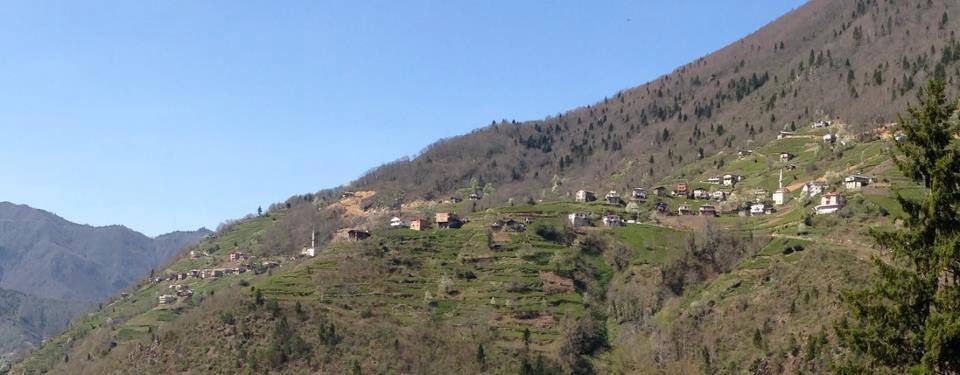 İkizdere Cevizlik Köyü Resimleri 4