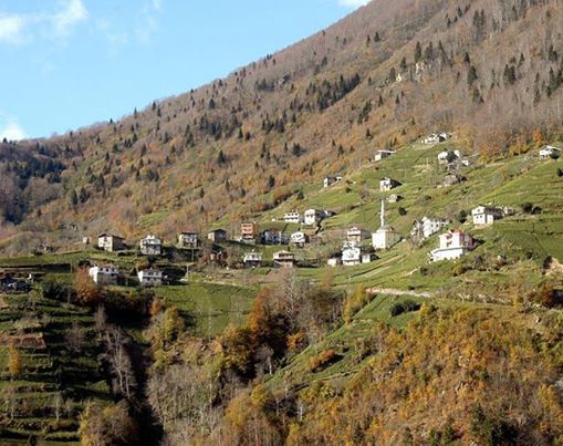 İkizdere Cevizlik Köyü Resimleri 5