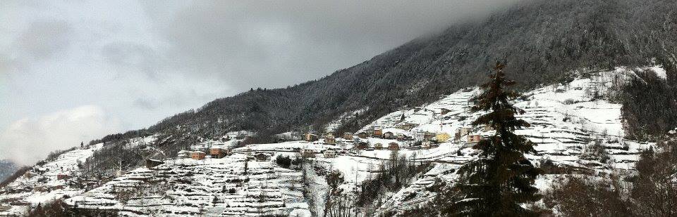 İkizdere Cevizlik Köyü Resimleri 6