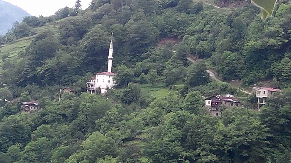 İkizdere Cevizlik Köyü Resimleri 9