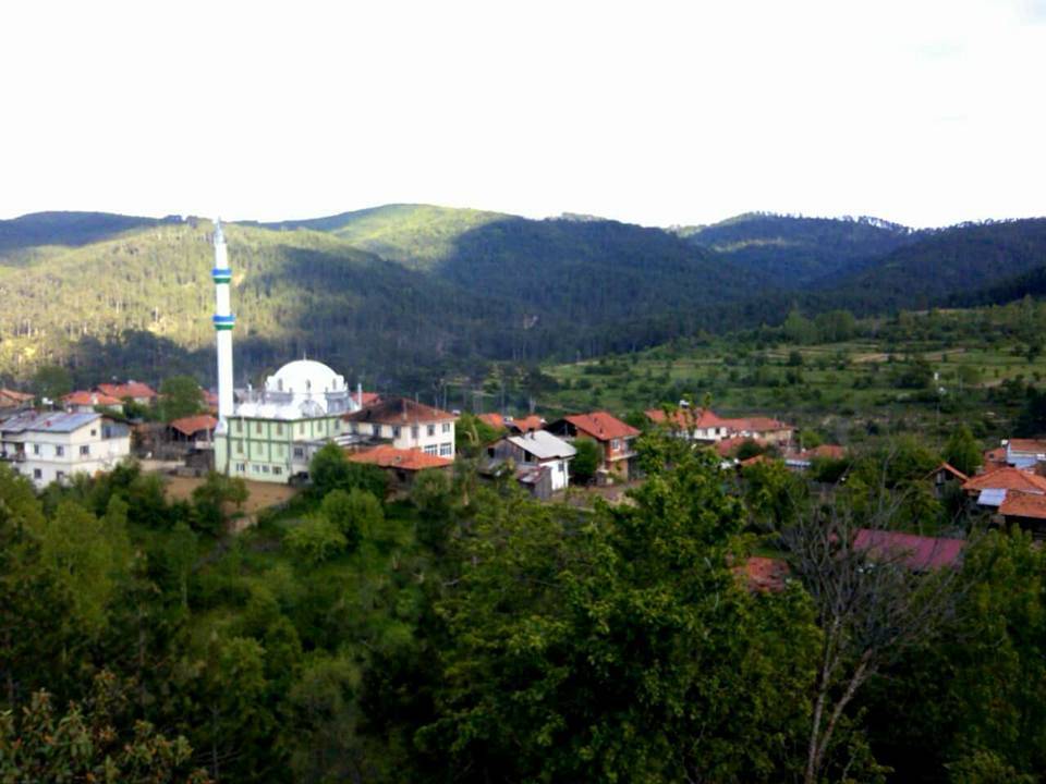 Simav Çamlık Köyü Resimleri 2