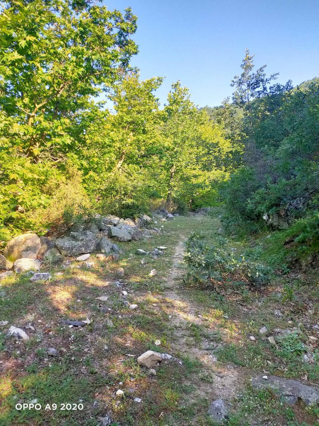 Simav Çınarlıdere Köyü Resimleri 6