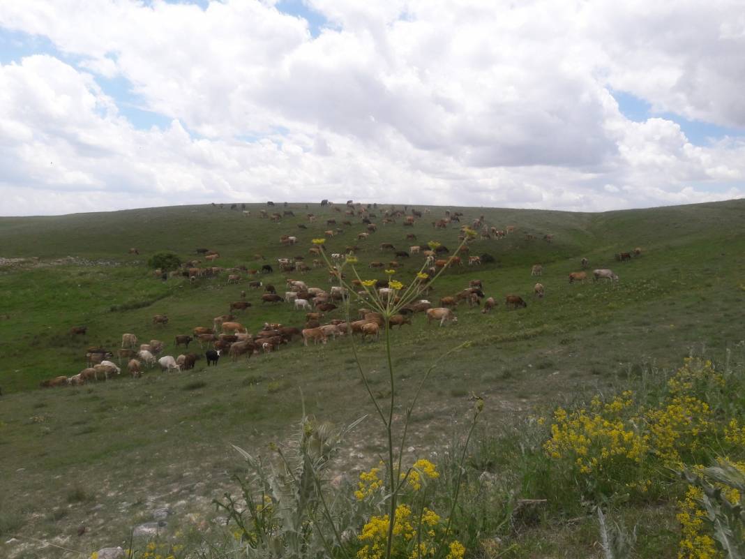 Pınarbaşı Hilmiye Köyü Resimleri 2