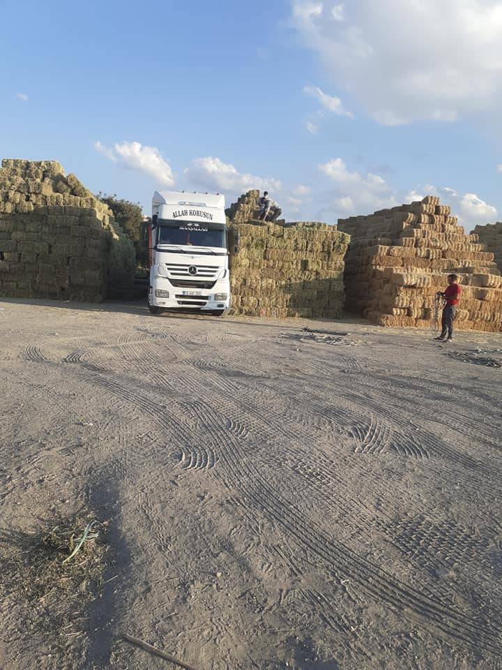 Pınarbaşı İğdelipayaslı Köyü Resimleri 1