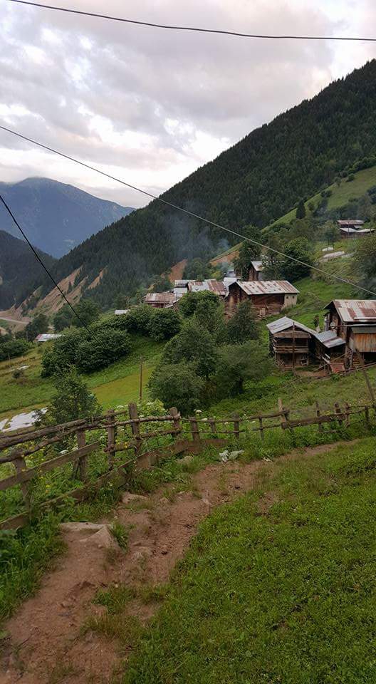 İkizdere Çamlıkköy Köyü Resimleri 4