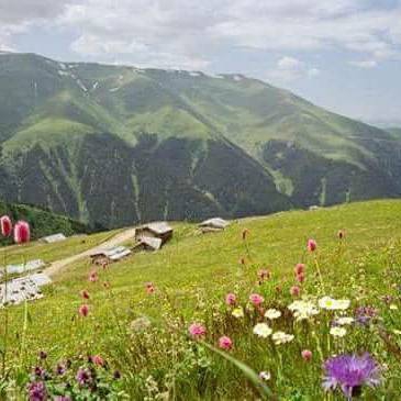 İkizdere Çamlıkköy Köyü Resimleri 5