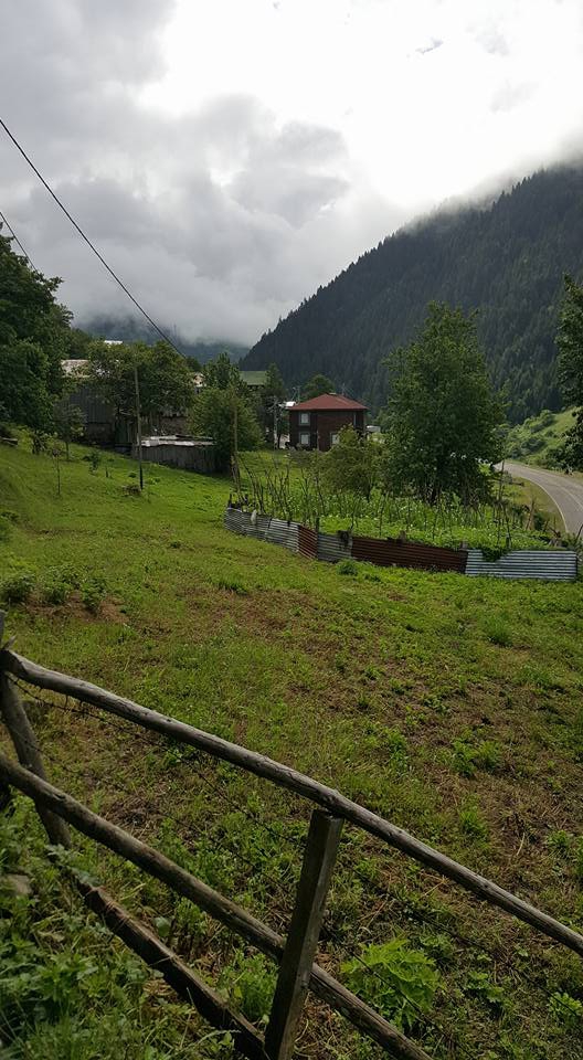 İkizdere Çamlıkköy Köyü Resimleri 6