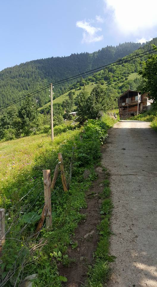 İkizdere Çamlıkköy Köyü Resimleri 7