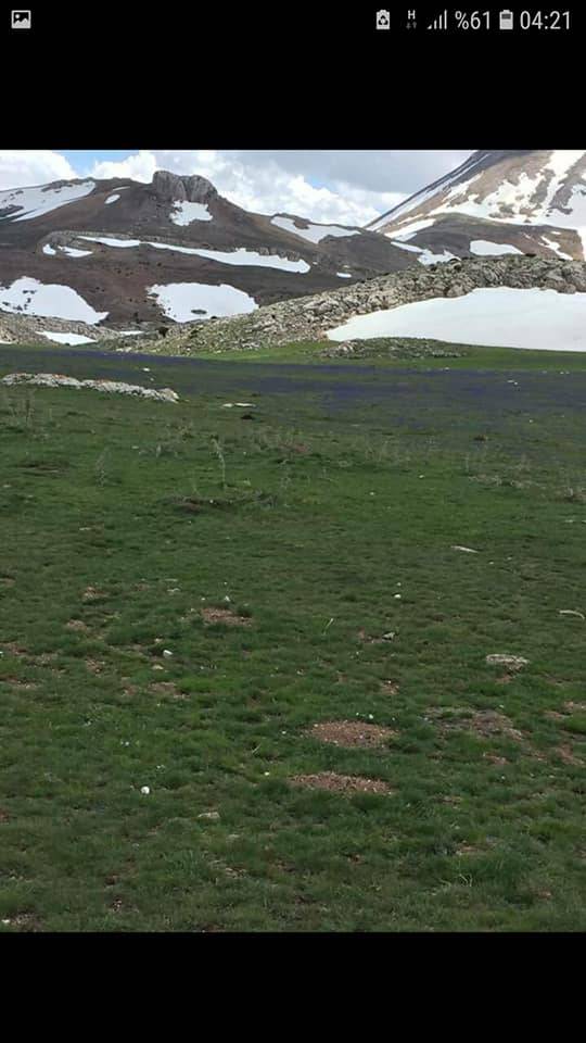 Pınarbaşı Kadılı Köyü Resimleri 2