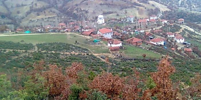 Simav Dağardı Köyü Resimleri