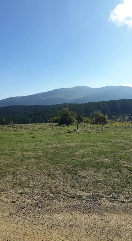 Simav Esenbağ Köyü Resimleri 1