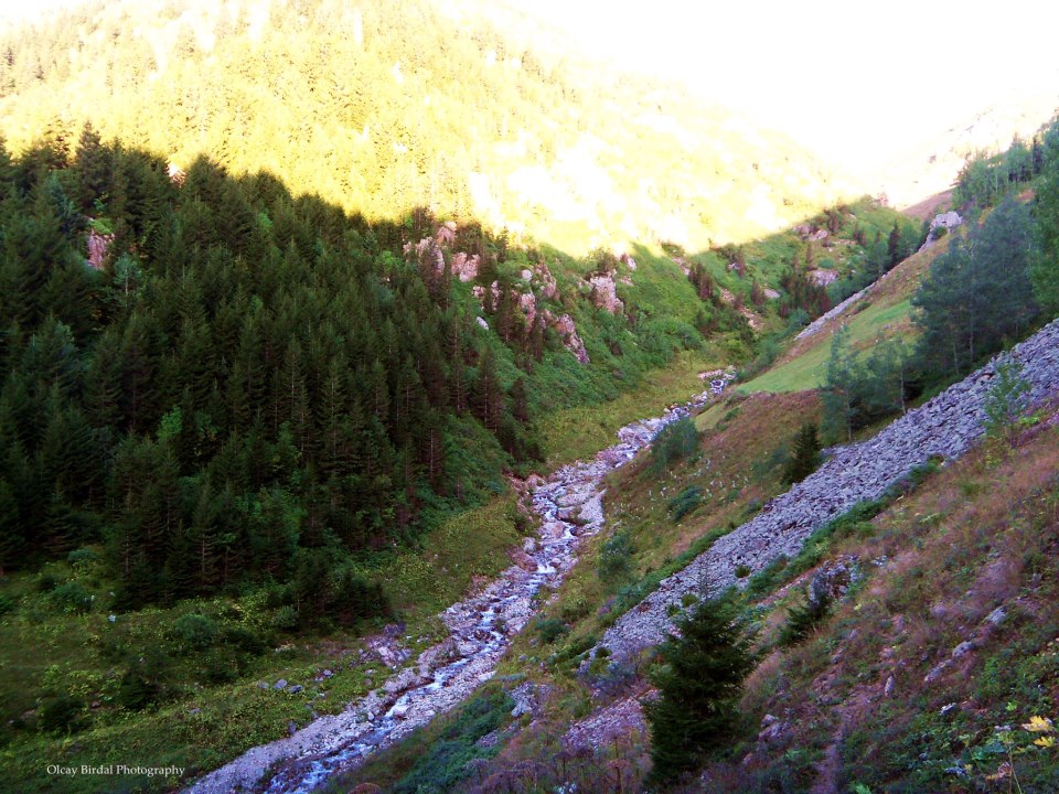 İkizdere Çataltepe Köyü Resimleri 8