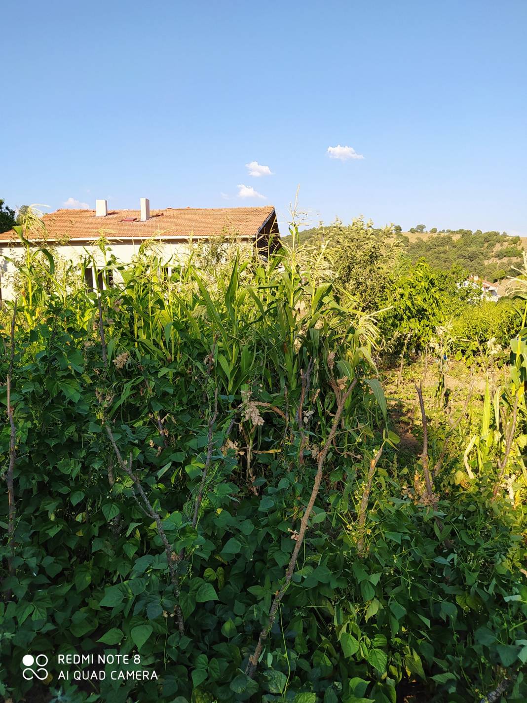 Simav Hacıahmetoğlu Köyü Resimleri 3