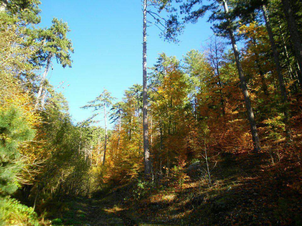Simav Hacıhüseyinefendi Köyü Resimleri 2