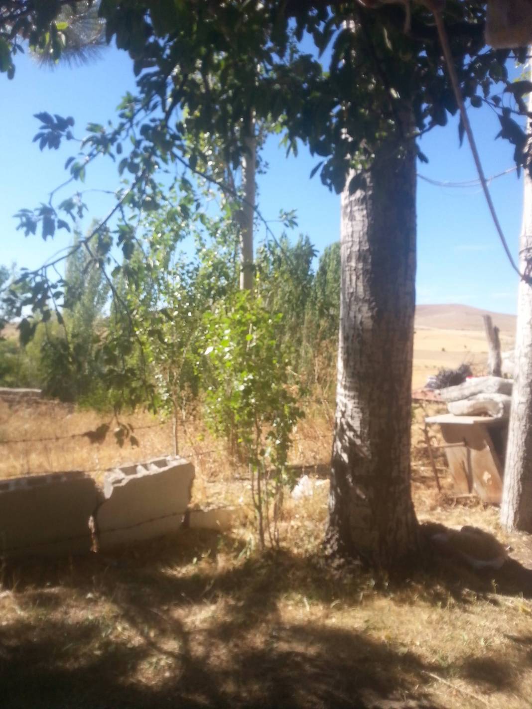 Pınarbaşı Pazarören Köyü Resimleri 2