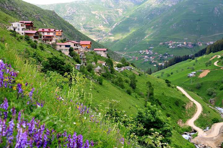 İkizdere Çiçekli Köyü Resimleri 1