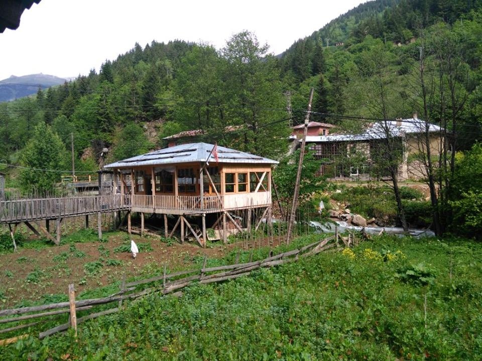 İkizdere Çiçekli Köyü Resimleri 10