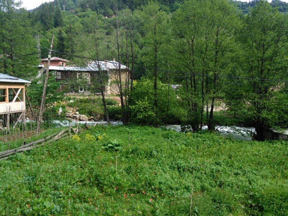 İkizdere Çiçekli Köyü Resimleri 9