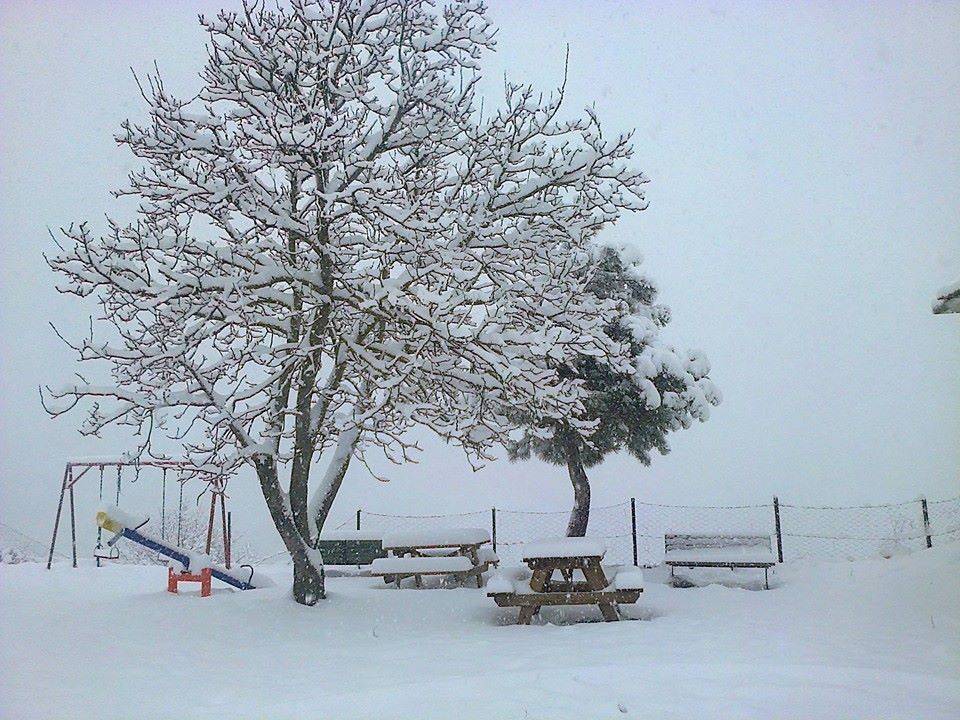 Büyükorhan Özlüce Köyü Resimleri 3