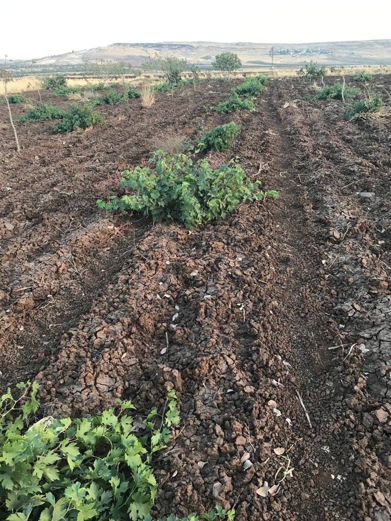 Şahinbey Akyol Köyü Resimleri 1