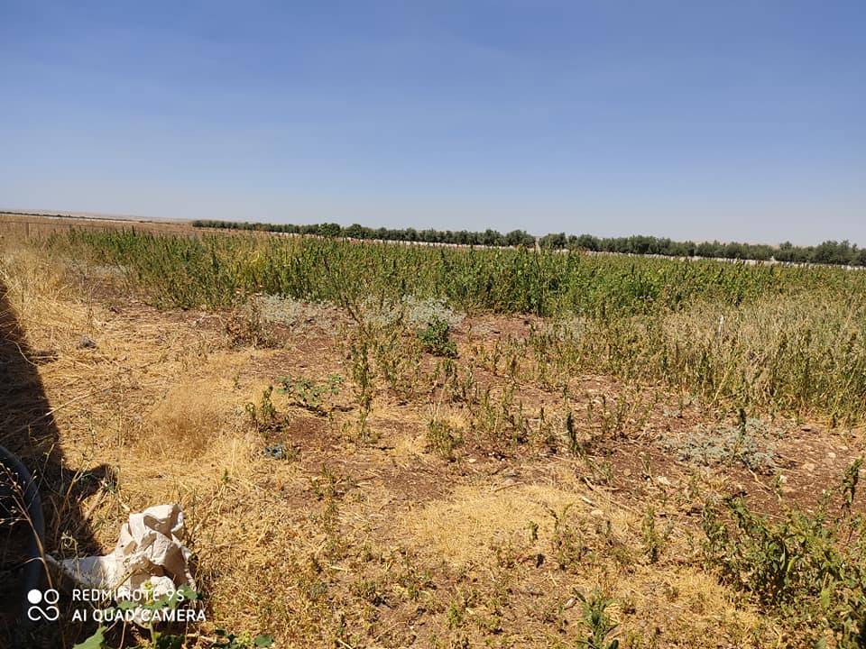 Şahinbey Almalı Köyü Resimleri 2