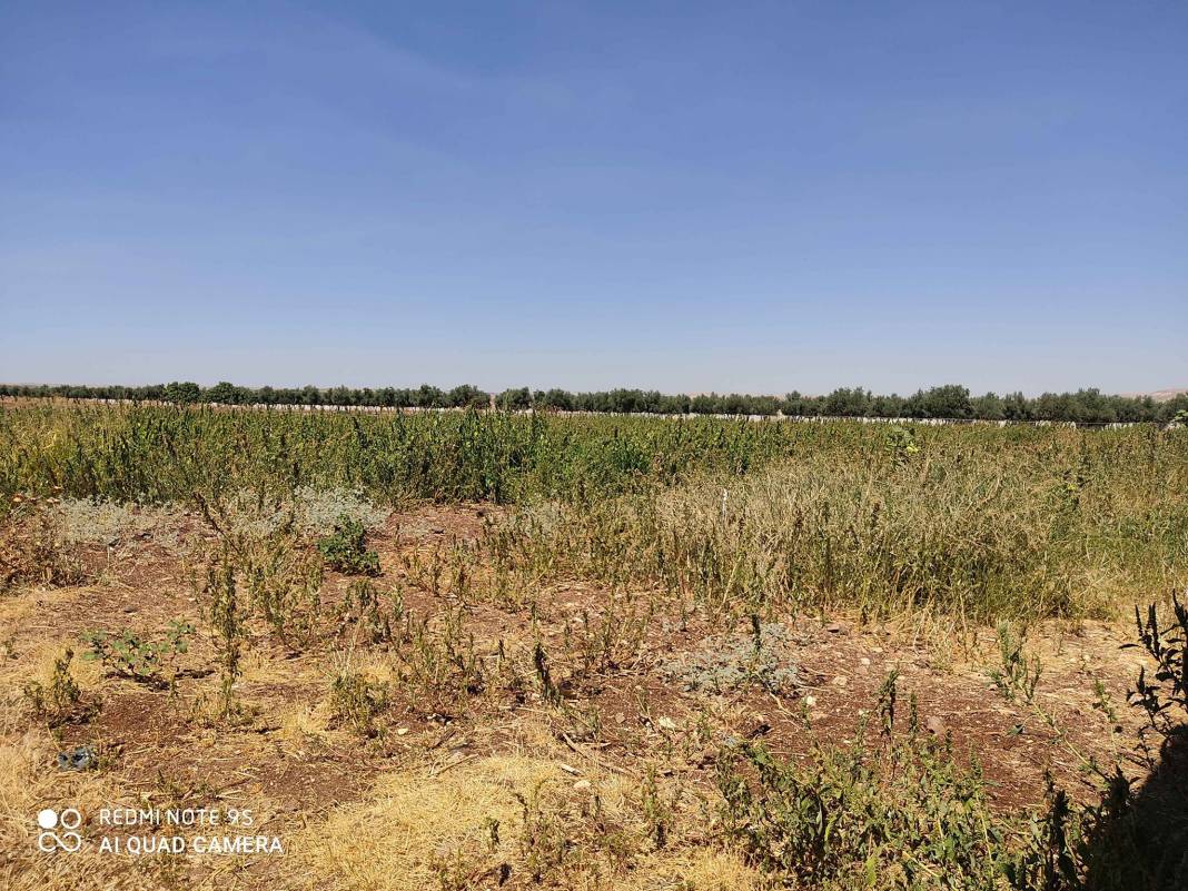 Şahinbey Almalı Köyü Resimleri 6