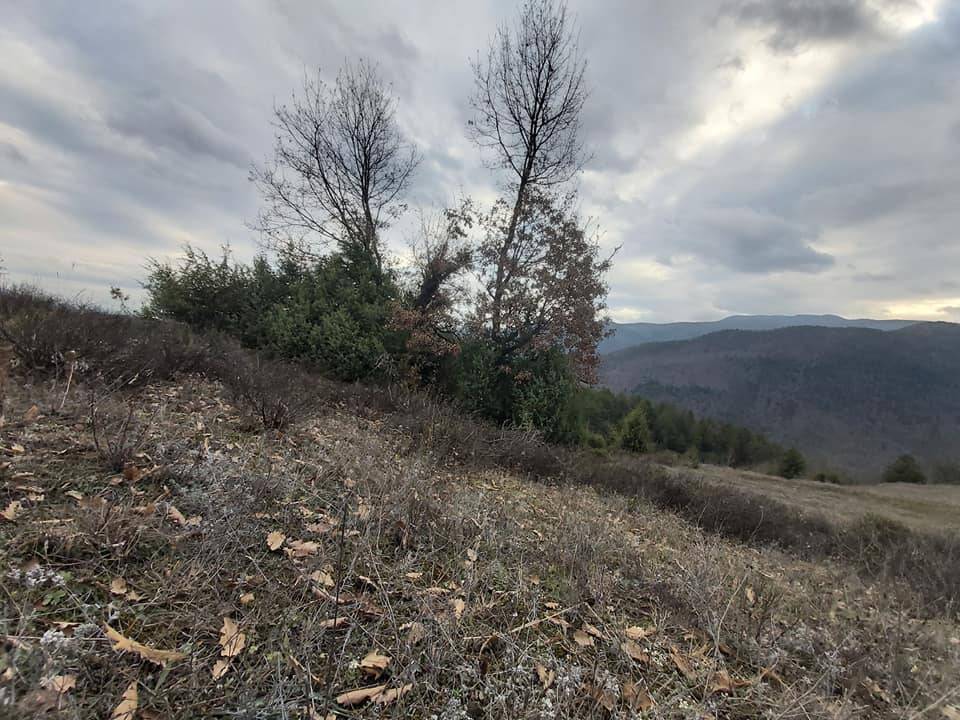 Şahinbey Belenköy Köyü Resimleri 13